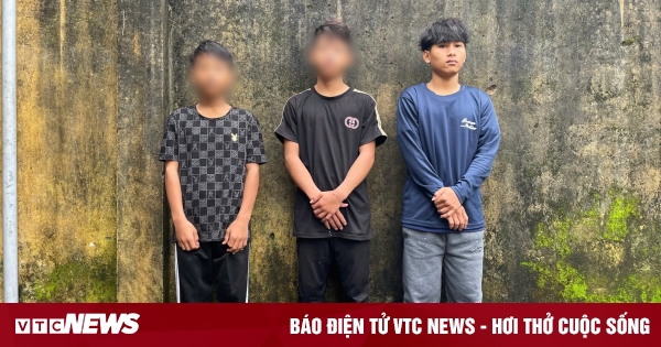 3 Teenager stahlen mehr als 200 Ngoc Linh Ginsengwurzeln