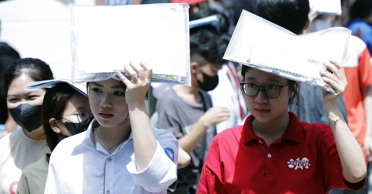 Die höchste Bodenpunktzahl der Ho Chi Minh City University of Agriculture and Forestry im Jahr 2024 beträgt 22