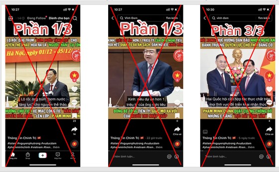 Comprehensive inspection of TikTok's operations in Vietnam photo 3