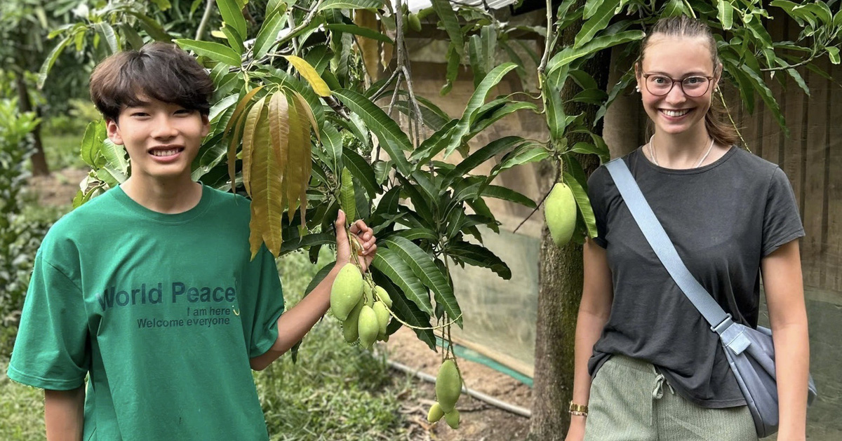 Helfen Sie mit, Schülern in Vinh Long kostenlos Englisch beizubringen.