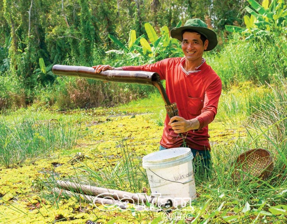 Mùa nước rọt ở rừng tràm Cà Mau, bất ngờ thấy dân dụ bắt cá đồng, bắt tôm càng to, lươn rừng bự- Ảnh 6.