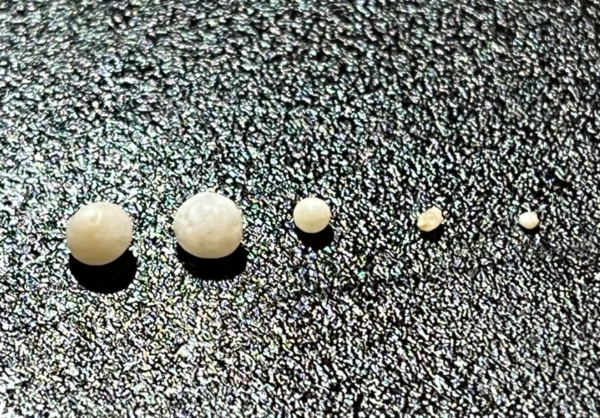 Mua đồ giảm giá ở siêu thị về nhà bỗng thành triệu phú, anh chàng khiến dân mạng trầm trồ 'xin vía' khi hé lộ kho báu bất ngờ - Ảnh 3.