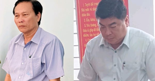 Two former Vice Chairmen of Long Xuyen City were expelled from the Party.