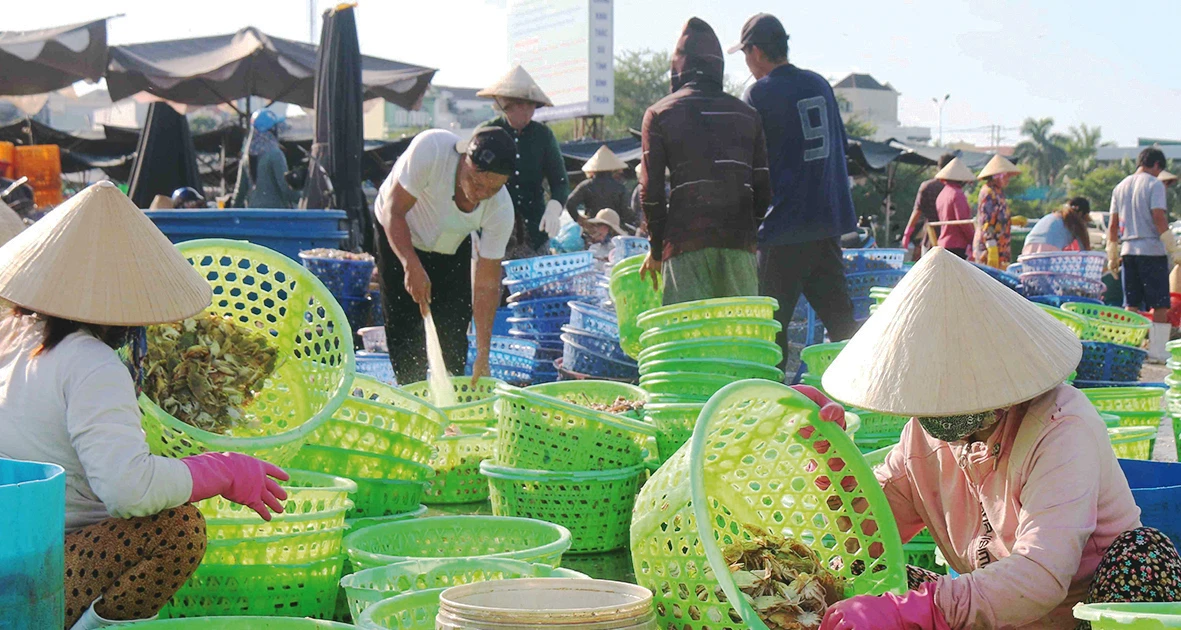 Les pêcheurs de Binh Thuan perdent leur récolte de poisson