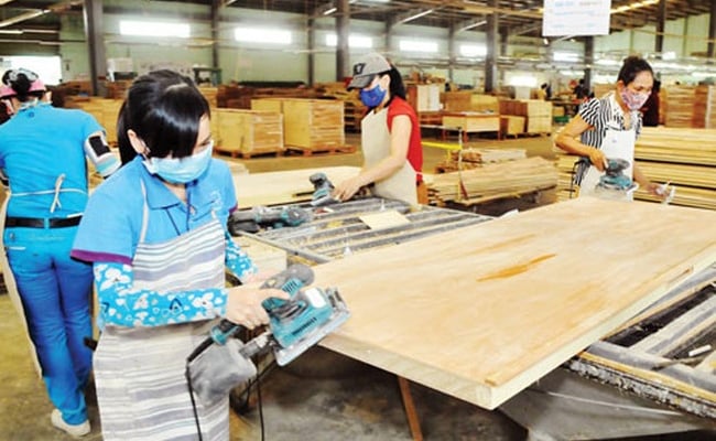 L'entreprise Truong Thanh Wood (TTF) perd de l'argent, son compte bancaire est gelé