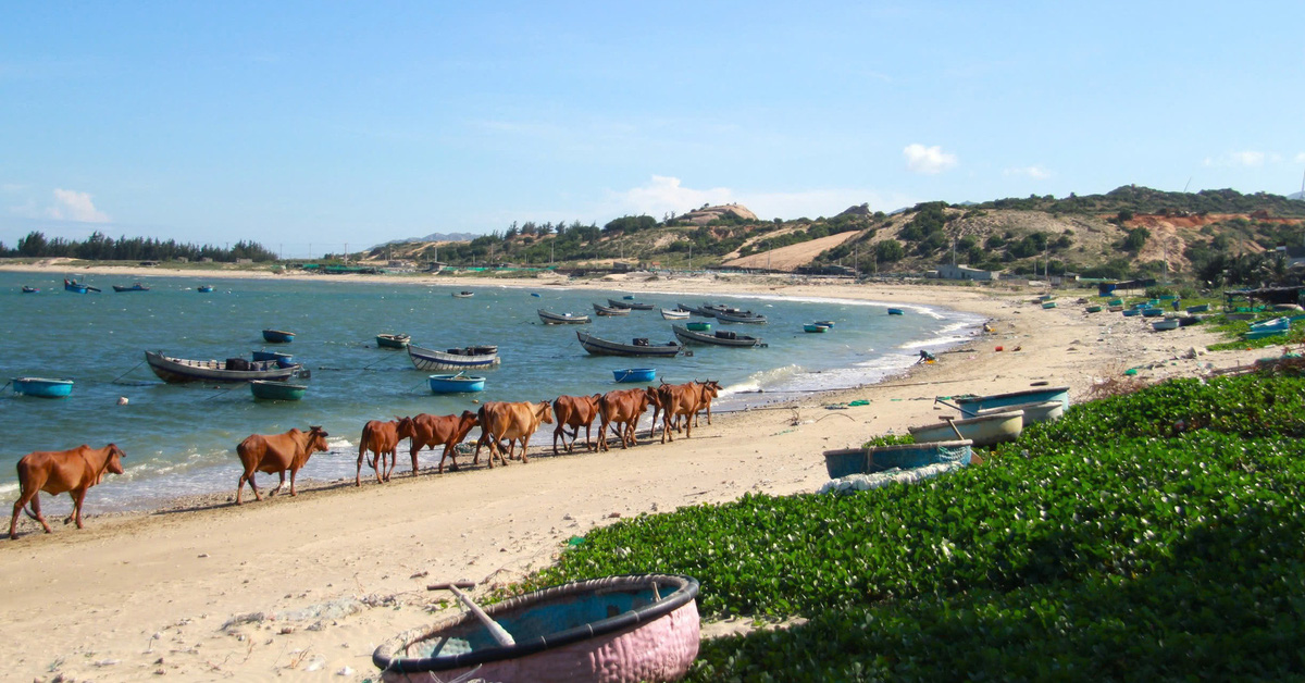 Après 8 ans de suspension, Ninh Thuan se prépare à construire une centrale nucléaire