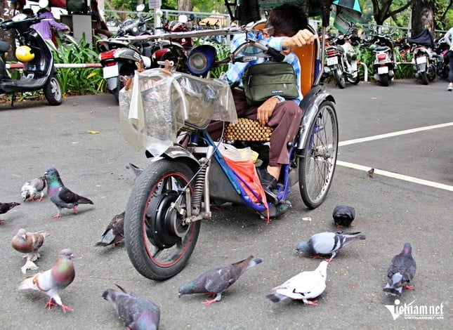 Lottoscheinverkäufer in Ho-Chi-Minh-Stadt kauft Futter, um Wildvögel zu „verwöhnen“ und ihnen so die Einsamkeit zu nehmen. Foto 2