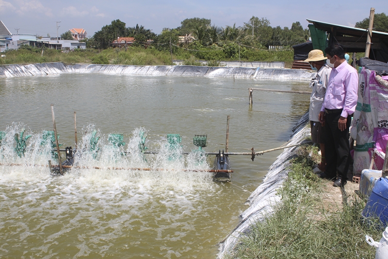 ដើមទុនឥណទានគោលនយោបាយគឺជាគន្លឹះមួយដើម្បីជួយប្រជាជន Long An អនុវត្តដោយជោគជ័យនូវគំរូសេដ្ឋកិច្ចជាច្រើន។