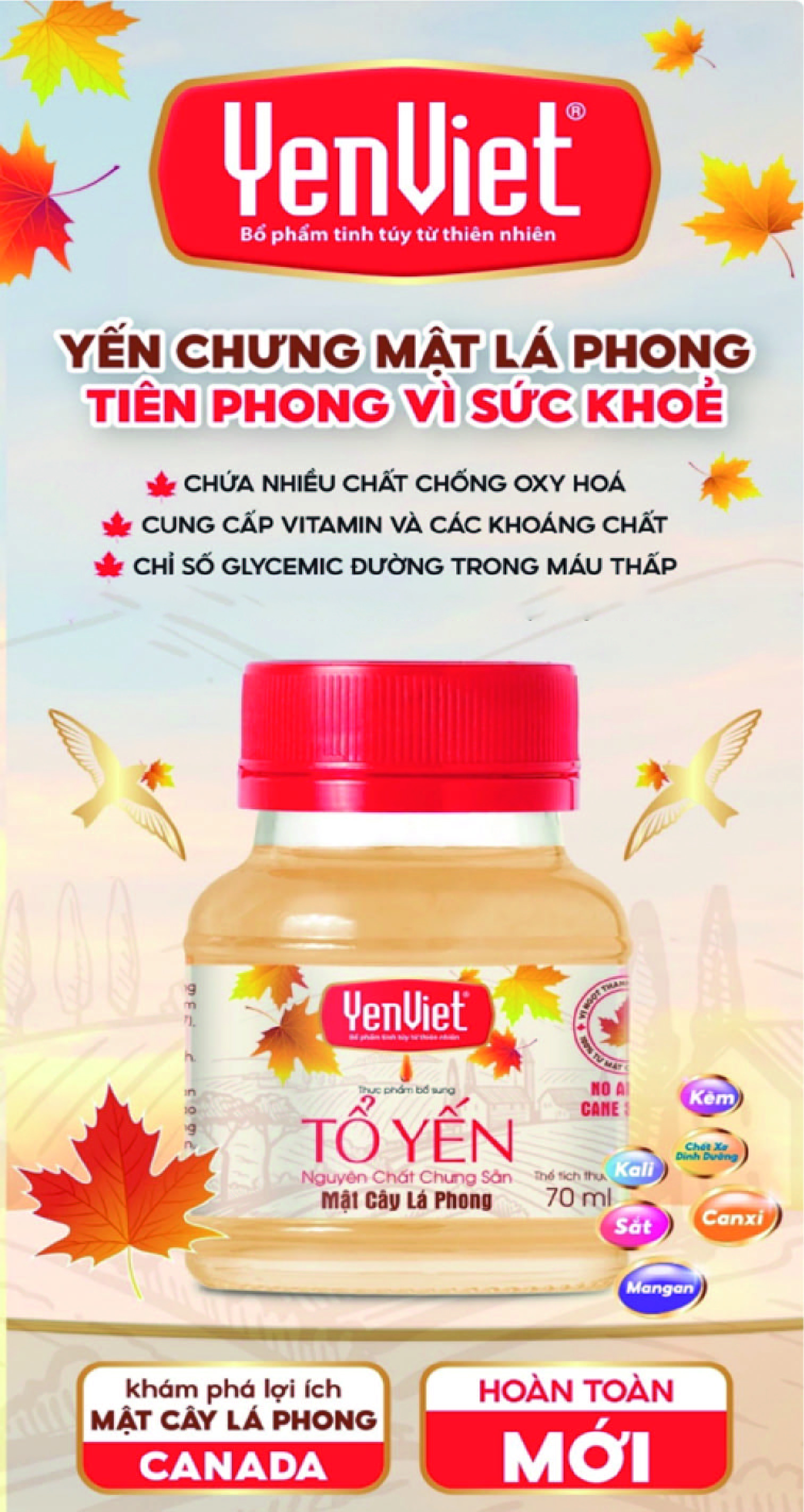 Yến chưng mật cây Lá Phong - Tiên phong vì sức khỏe - Ảnh 1.