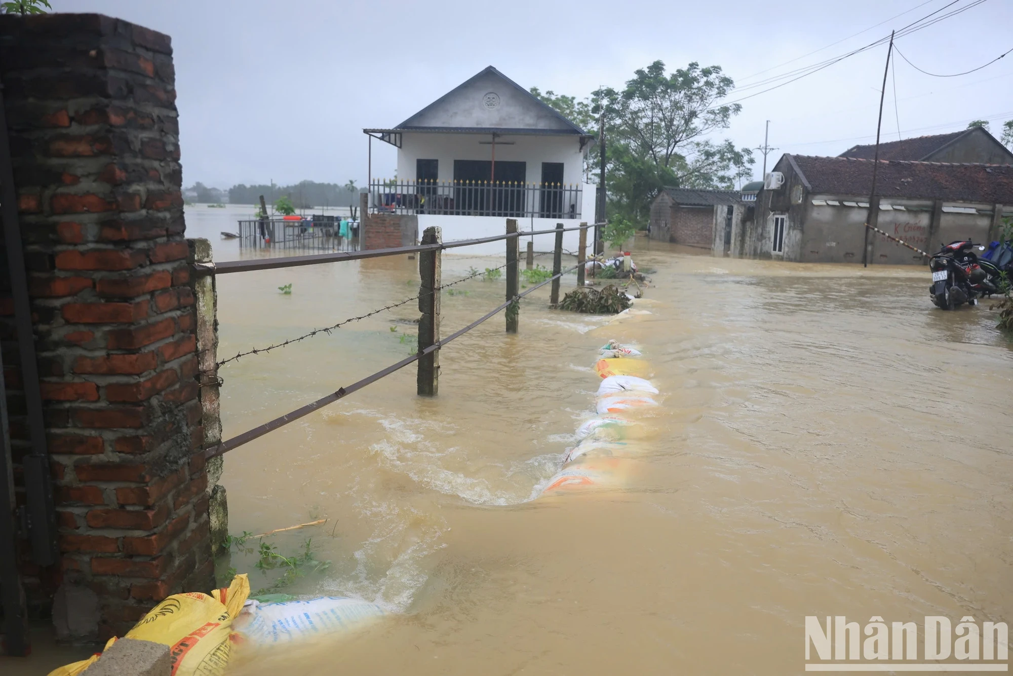 [Foto] Hanoi: El río Bui desborda el dique, muchas comunas en el distrito de Chuong My están inundadas foto 10