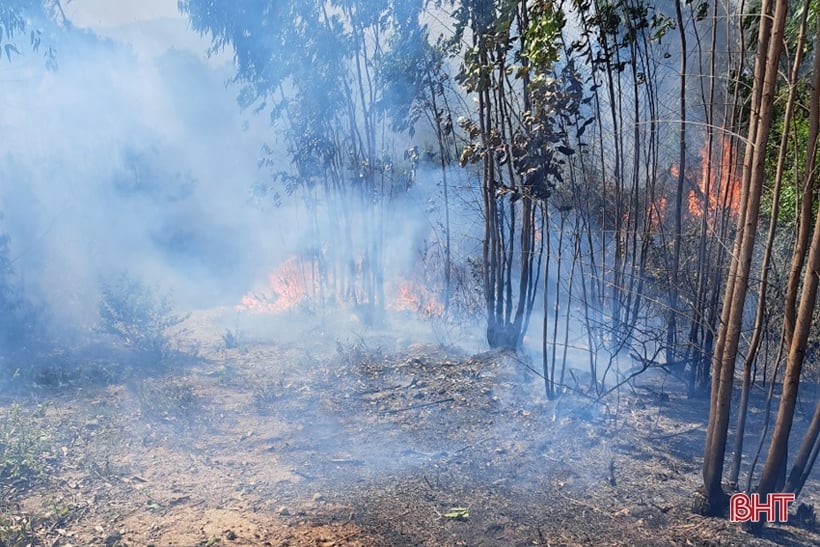 Loc Ha movilizó a 450 personas para extinguir un incendio forestal en la montaña Hong Linh