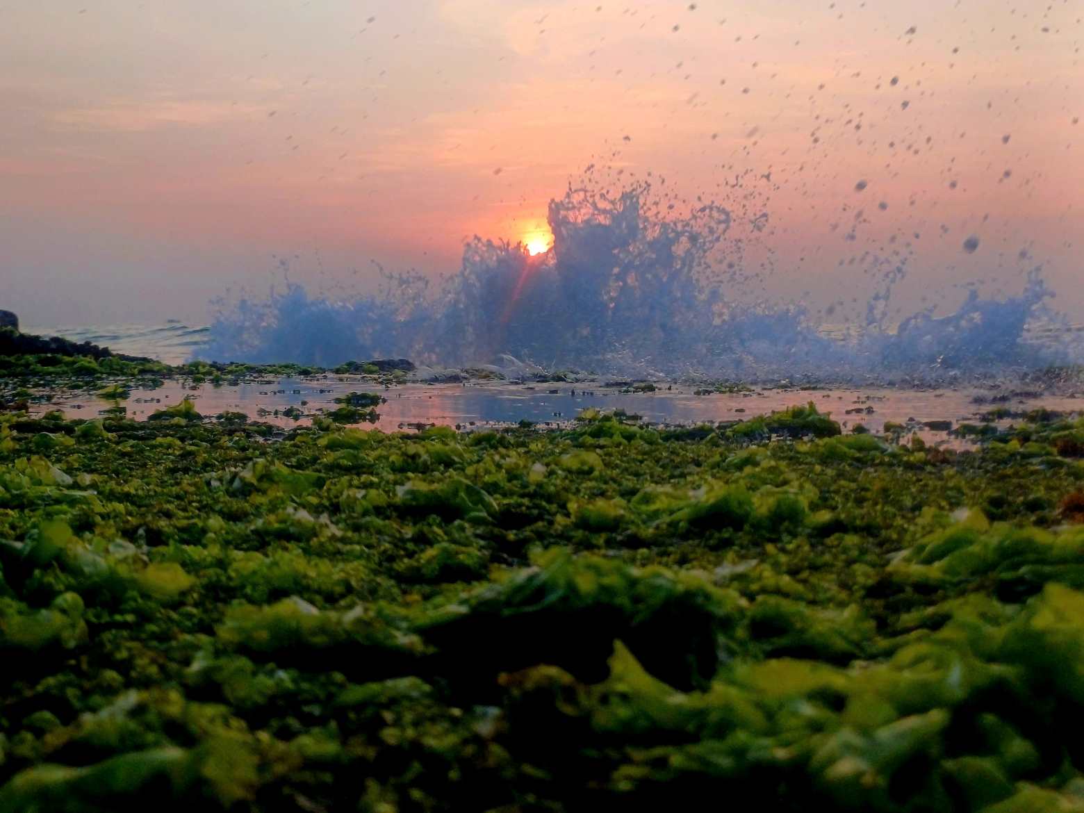 ニャチャンビーチは大きな白い波の季節で、海藻ビーチの美しさがさらに特別なものになります。写真: フア・マイ・クック