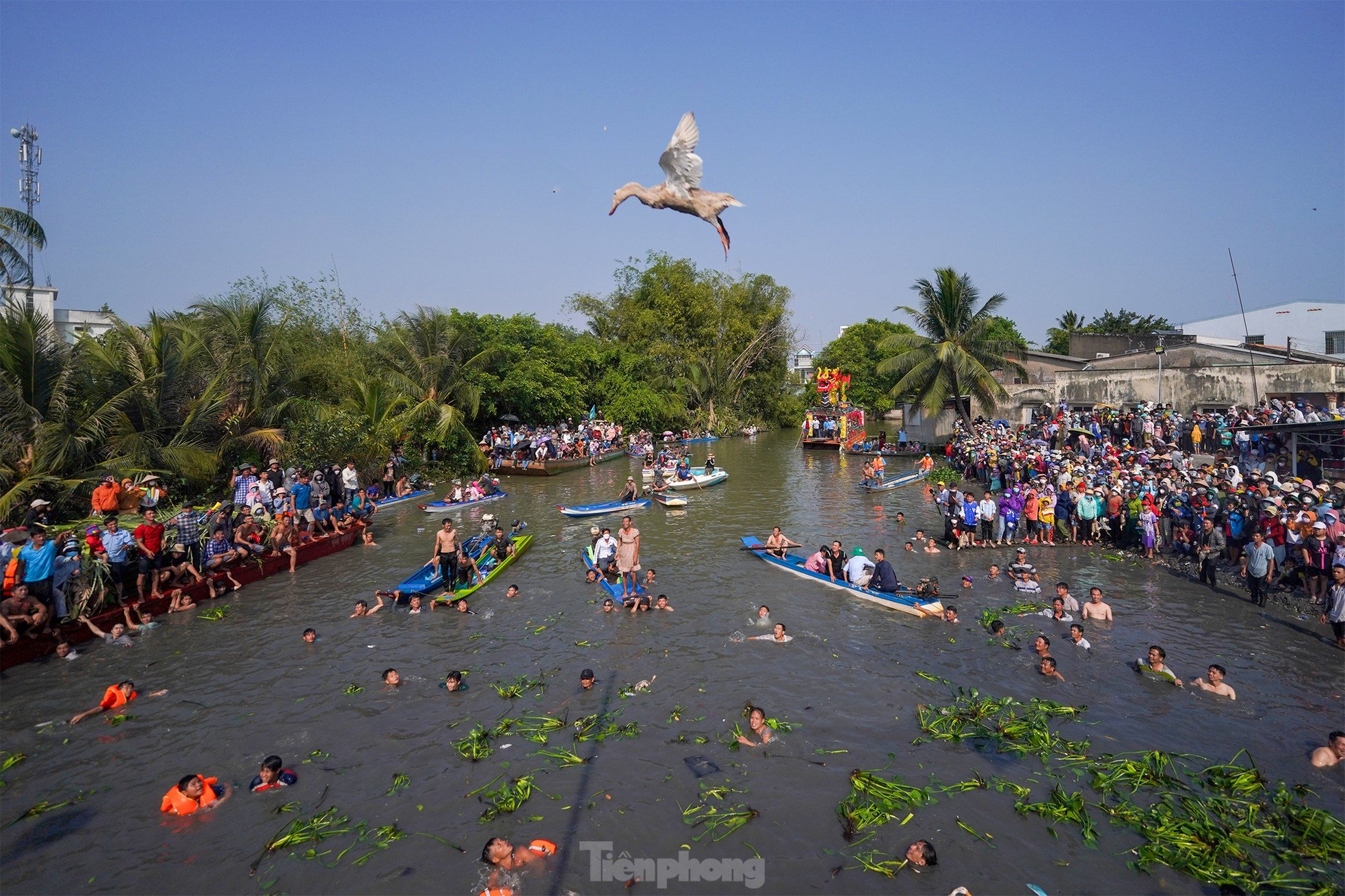 Cientos de personas compiten en 'vadear el río para atrapar patos' foto 3