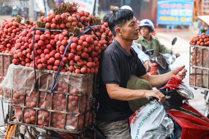 Bac Giang: Los agricultores se apresuran a llevar lichis para pesarlos y venderlos, las calles se tiñen de rojo - 11