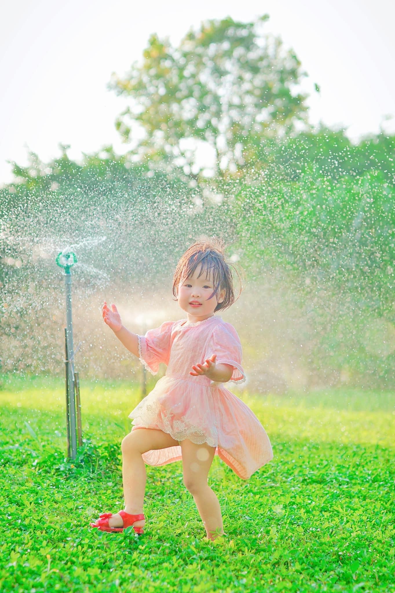 大人には涼しい空気、子供には楽しい自然があるエコパークの写真6