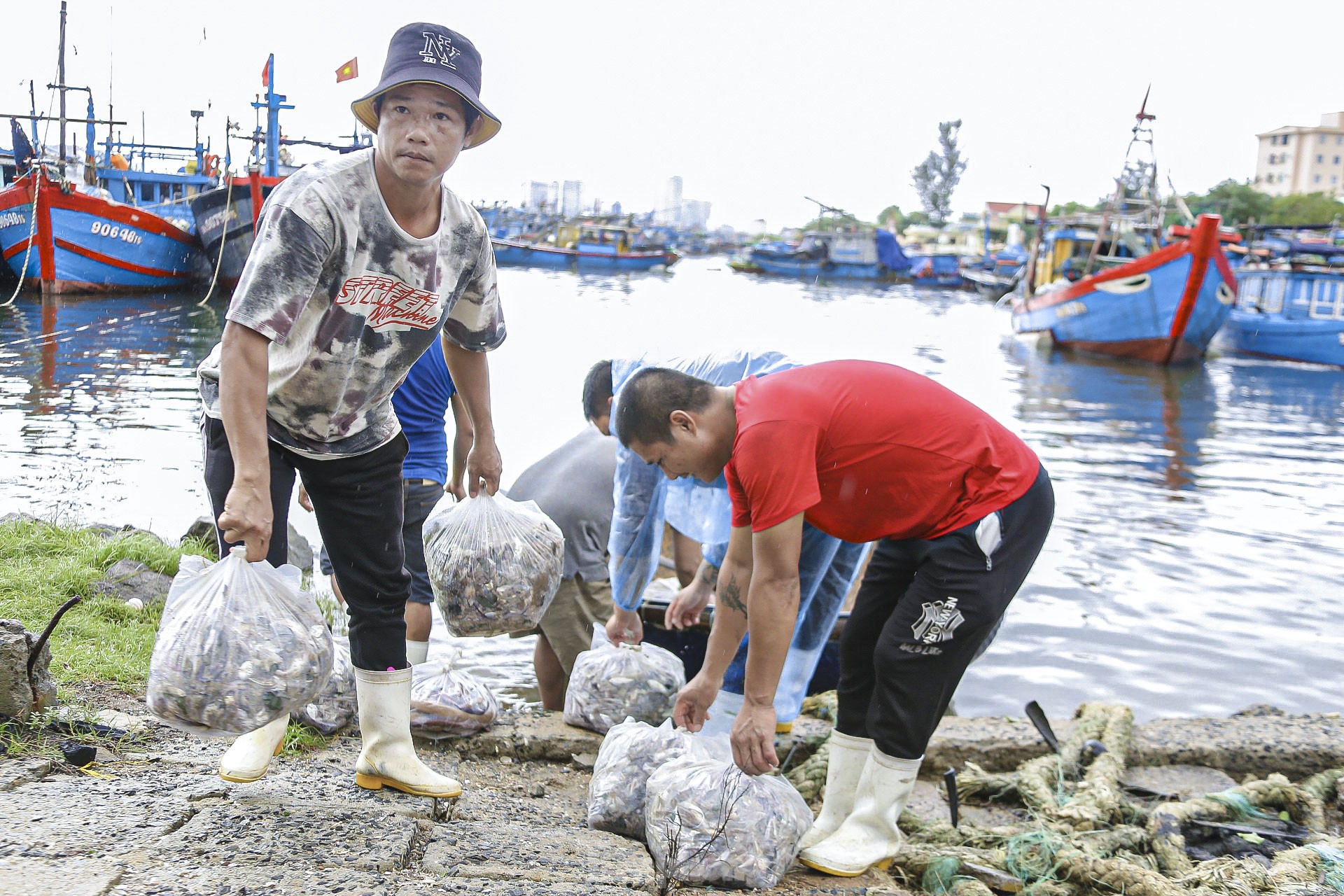 Los pescadores de Da Nang pescan cerca de la costa y ganan millones tras la tormenta (foto 7)