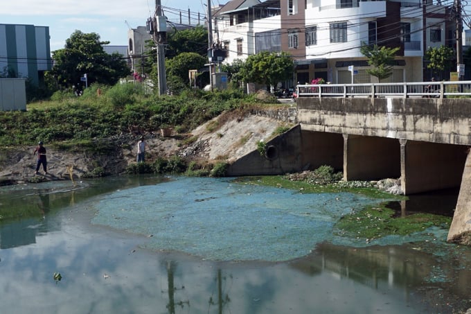 L'eau du canal Da Co contient de l'écume verte. Photo : Ngoc Truong