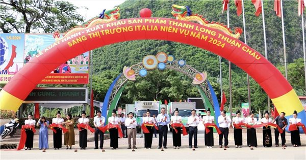 Sơn La: Xuất khẩu 5 tấn thanh long ruột đỏ sang thị trường Italia