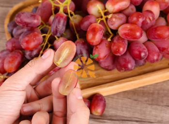 Món ăn quen thuộc giúp chống nắng và tia cực tím, phụ nữ đừng bỏ lỡ dịp vào hè- Ảnh 5.