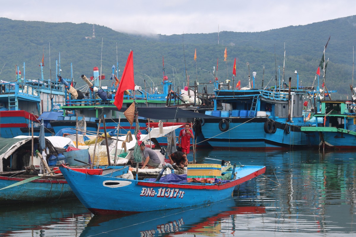 Trời nắng ráo, người dân Đà Nẵng vẫn nâng cao cảnh giác, không chủ quan với bão số 4 ảnh 3