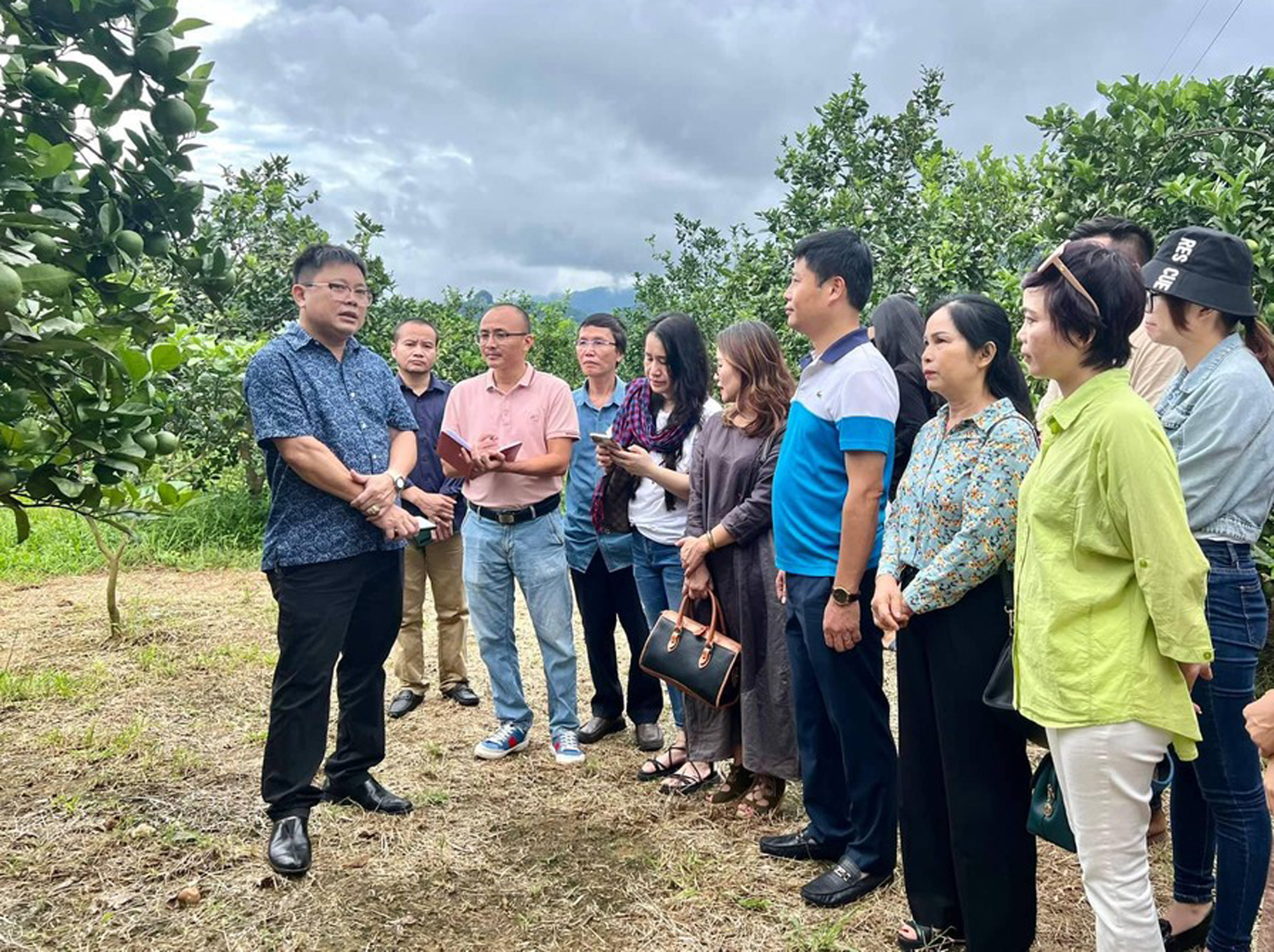 de viec lua chon dung trung khong cao bang hinh 5