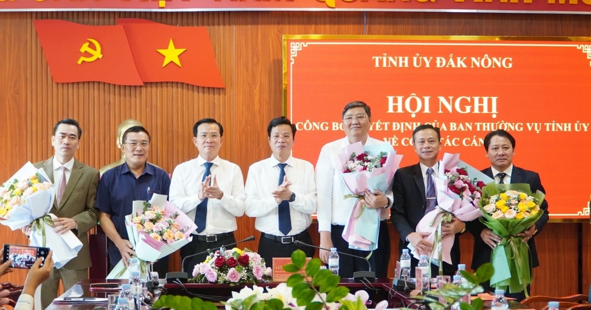 Appointing the Permanent Vice Chairman of Dak Nong Provincial People's Committee to hold a new position