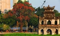 Royal poinciana flowers 'light up' the Turtle Tower at Hoan Kiem Lake