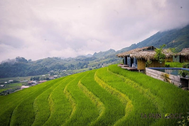 Sapa's central area is fully booked on September 2nd, tourists are willing to stay far away