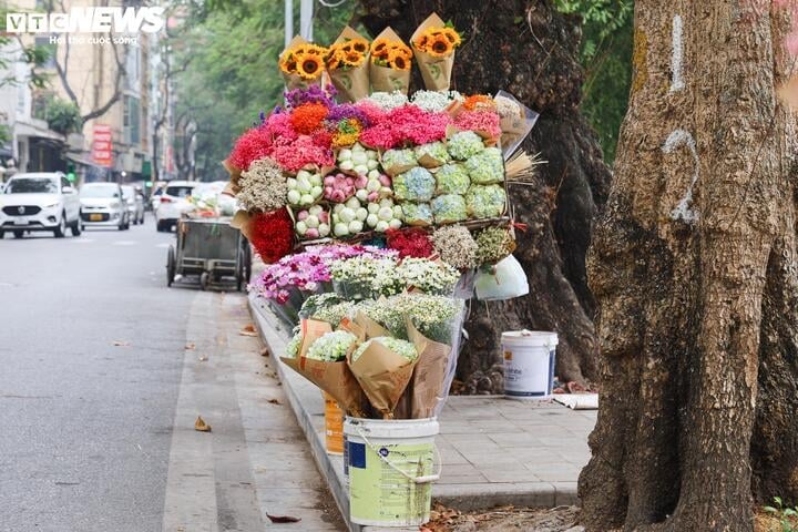 Tuy nhiên vì số lượng ít nên mỗi hàng hoa chỉ xuất hiện một vài bó.