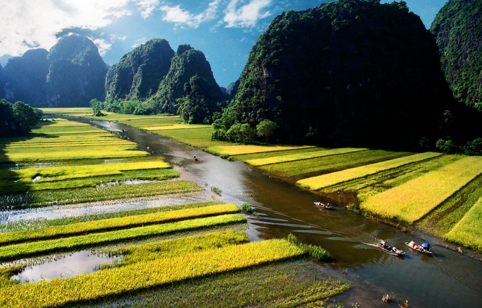 Chèo thuyền trên bến Tràng An