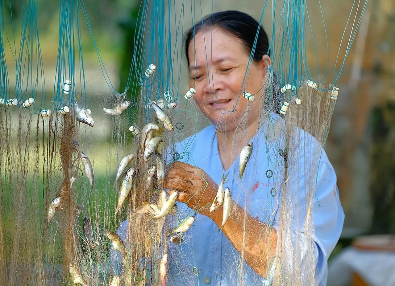 An Giang: Nét đẹp vùng biên Châu Đốc mùa nước nổi