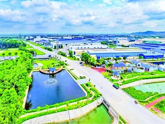 Tăng trưởng xanh: Doanh nghiệp cần làm gì?