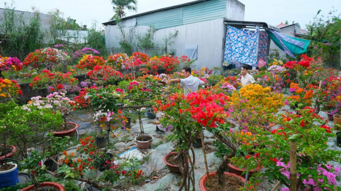 รูปภาพ