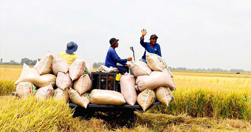 ចិននៅតែជាទីផ្សារនាំចូលកសិកម្មធំជាងគេរបស់វៀតណាម។