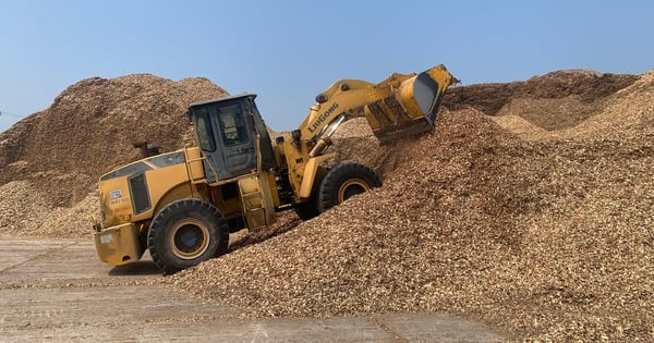 ¿Por qué Japón aumenta las importaciones de chips y pellets de madera de Vietnam?