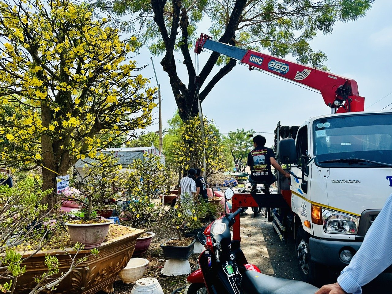 Sôi động mua sắm trước tết- Ảnh 1.