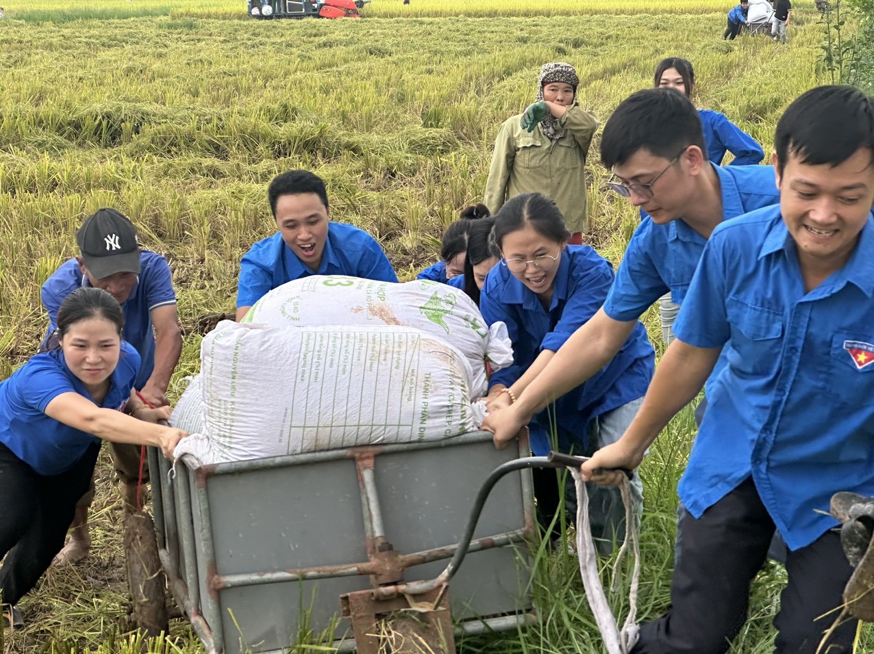 BẢN TIN TÌNH NGUYỆN SỐ 1 ảnh 8