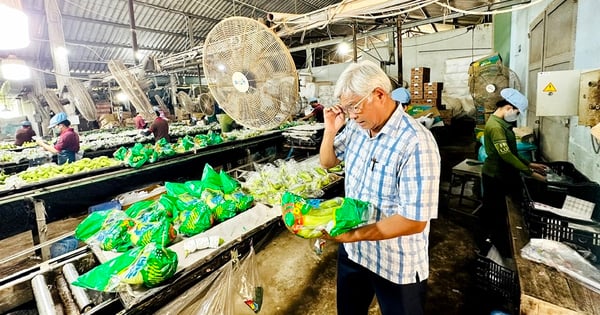 Las empresas que «convierten la basura en oro»