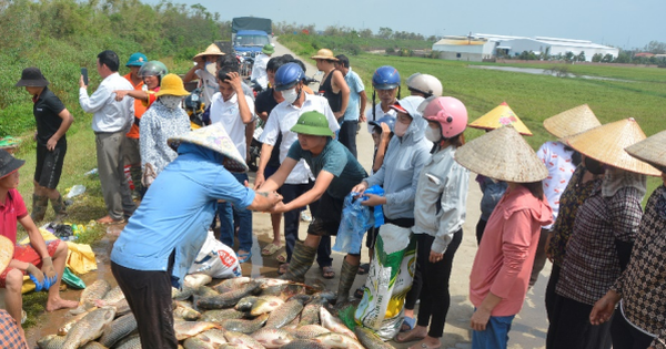 32 dự án của phụ nữ khởi nghiệp bị ảnh hưởng bởi bão lụt