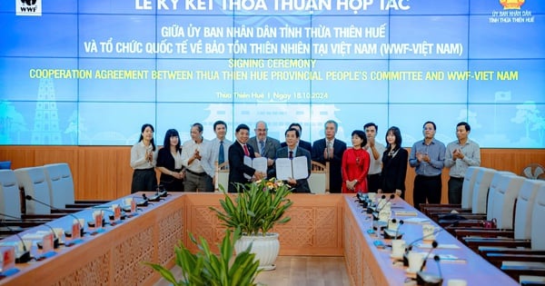 WWF-เวียดนามลงนามข้อตกลงความร่วมมือกับ Thua Thien Hue