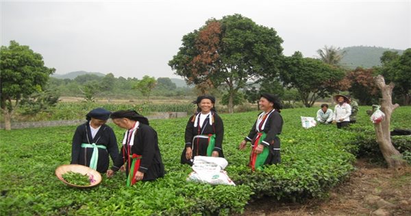 Đồng Hỷ (Thái Nguyên): Quan tâm hỗ trợ đồng bào DTTS ổn định cuộc sống, vươn lên thoát nghèo