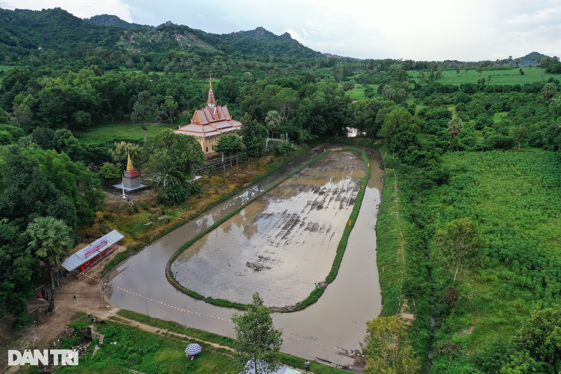 Hội đua bò chùa Rô trước giờ khởi tranh - 10