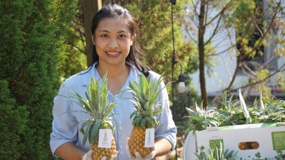 ตลาดเกษตรอินทรีย์ที่มีเอกลักษณ์เฉพาะในเมืองThanh Hoa