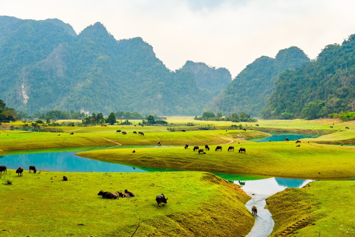 Dong Lam Grassland