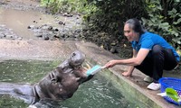 Go to the place where elephants get their nails done and hippos get their teeth brushed