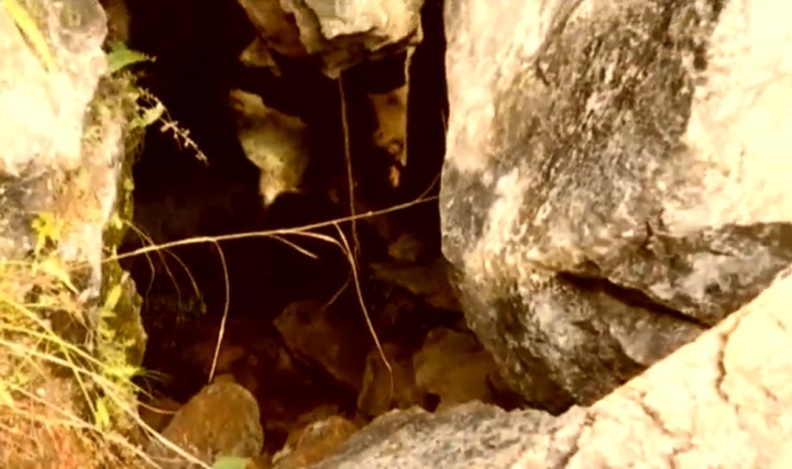 Als der alte Bauer die Fuchshöhle betrat, fand er unerwartet einen Schatz, wie man ihn nur alle tausend Jahre findet - 2