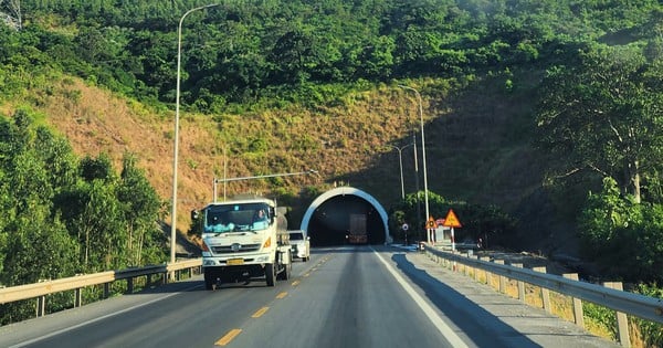 Conversion de 2,5 hectares de forêt pour agrandir le tunnel de Deo Ngang