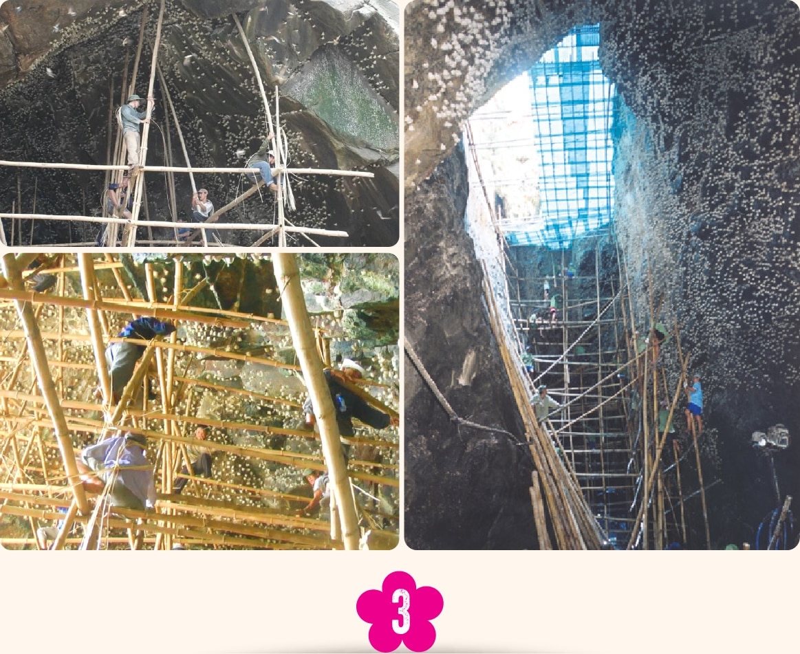 Lan tỏa giá trị Yến sào Khánh Hòa tới cộng đồng - Ảnh 5