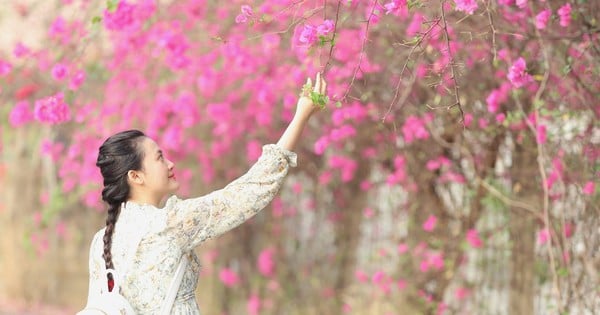 Die atemberaubende Bougainvillea-Straße, die zur Ho Chi Minh City National University führt