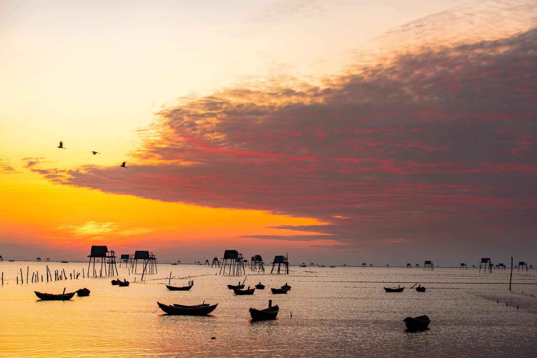 M. Doan Ngoc Anh (photographe à Thai Binh) a partagé : « Le nombre de visiteurs estivaux sur la plage de Dong Chau est également assez important, mais seulement dans l'après-midi frais. À l'aube, il semble que seuls les photographes comme nous sortent quand tout le monde dort.